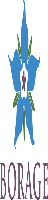 BORAGE TRADING L.L.C logo