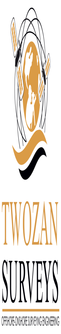 Twozan Surveys logo