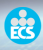 ECS Global Wire & Cables