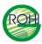 Rohi Green Intl Electromechanical LLC