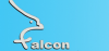 FALCON AUTOMATIC DOOR SYSTEMS